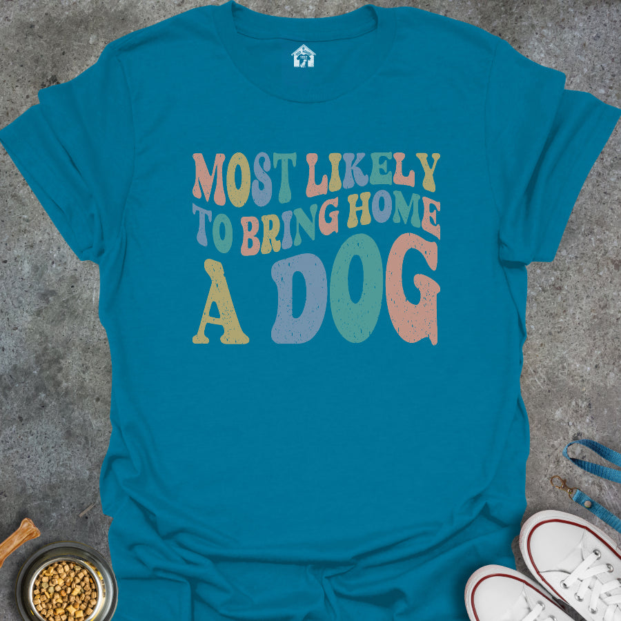 Most Likely to Bring Home a Dog