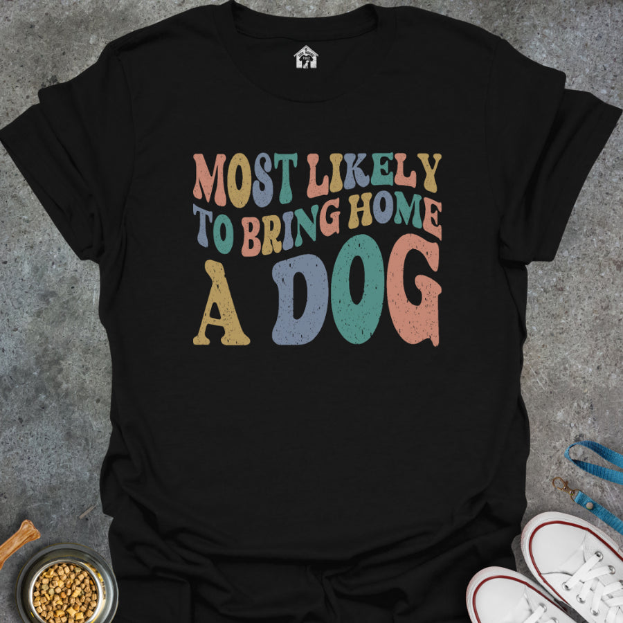 Most Likely to Bring Home a Dog