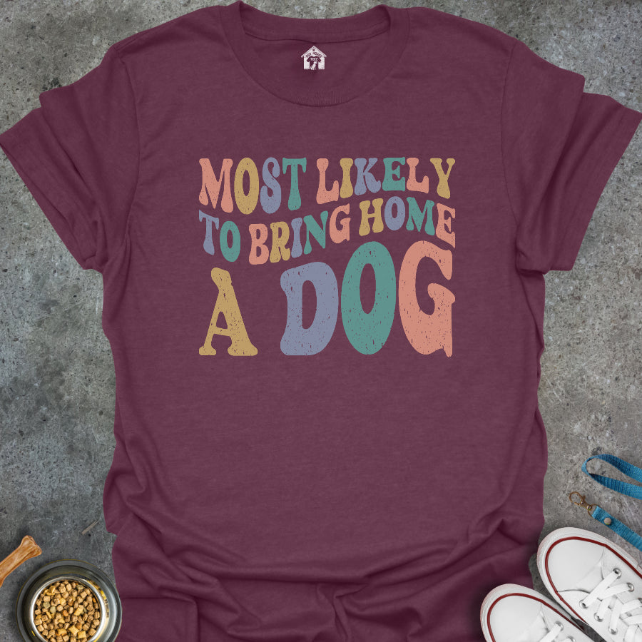 Most Likely to Bring Home a Dog